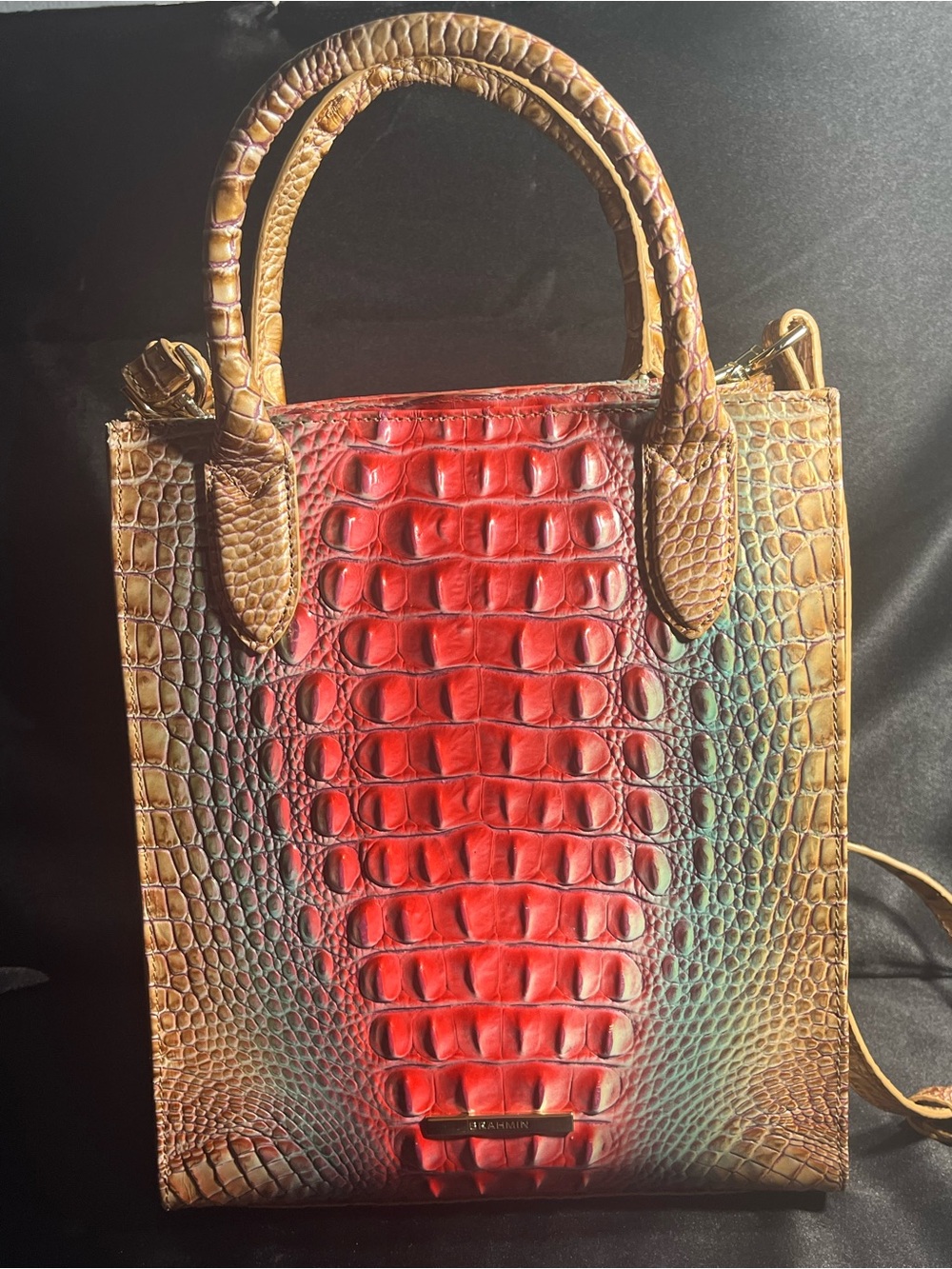 Brahmin Moira Tote in Lakeside Ombre Melbourn in Croc-Embossed Leather Pattern